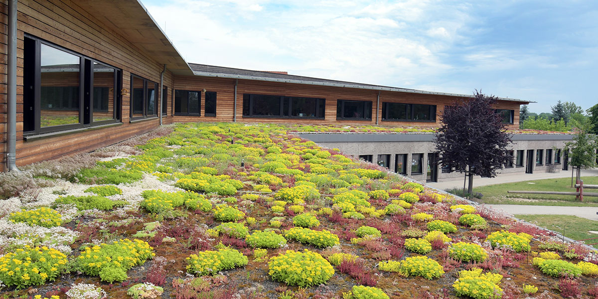 Dachgärten ROEHSE &amp; FISCHER Garten und Landschaftsbau